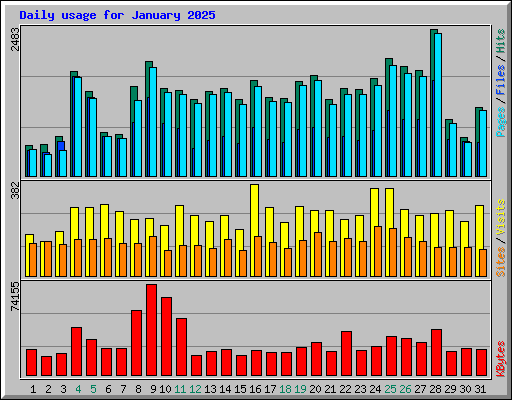 Daily usage for January 2025