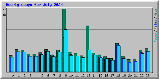 Hourly usage for July 2024