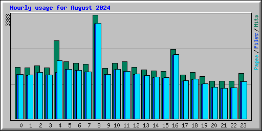 Hourly usage for August 2024