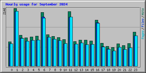 Hourly usage for September 2024