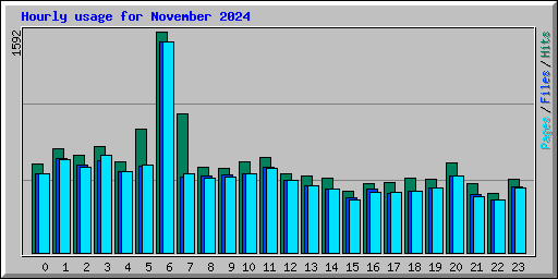 Hourly usage for November 2024