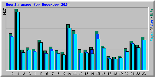 Hourly usage for December 2024