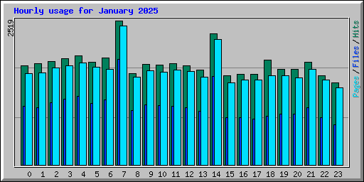 Hourly usage for January 2025