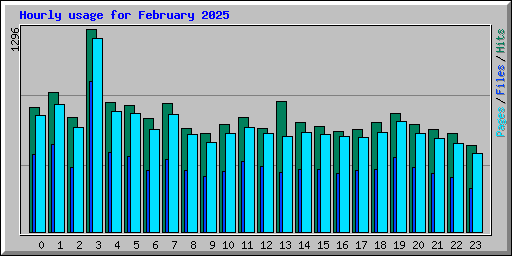 Hourly usage for February 2025